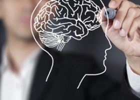 شناخت عملکرد مغز چه کمکی به کارآفرینان می‌کند؟
