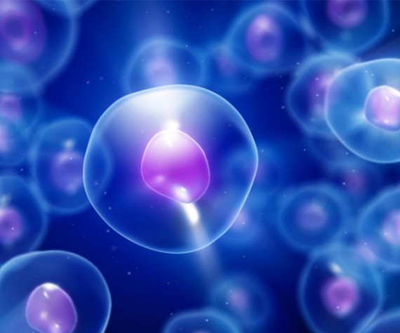 اطلس سلول‌های انسان، تحولی در شخصی‌سازی روش‌های درمانی