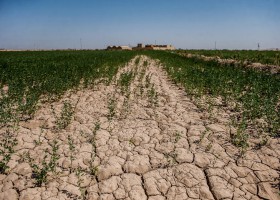 تأمین آب کشاورزی در مناطق خشک با تکنولوژی یک استارت‌آپ ایرانی